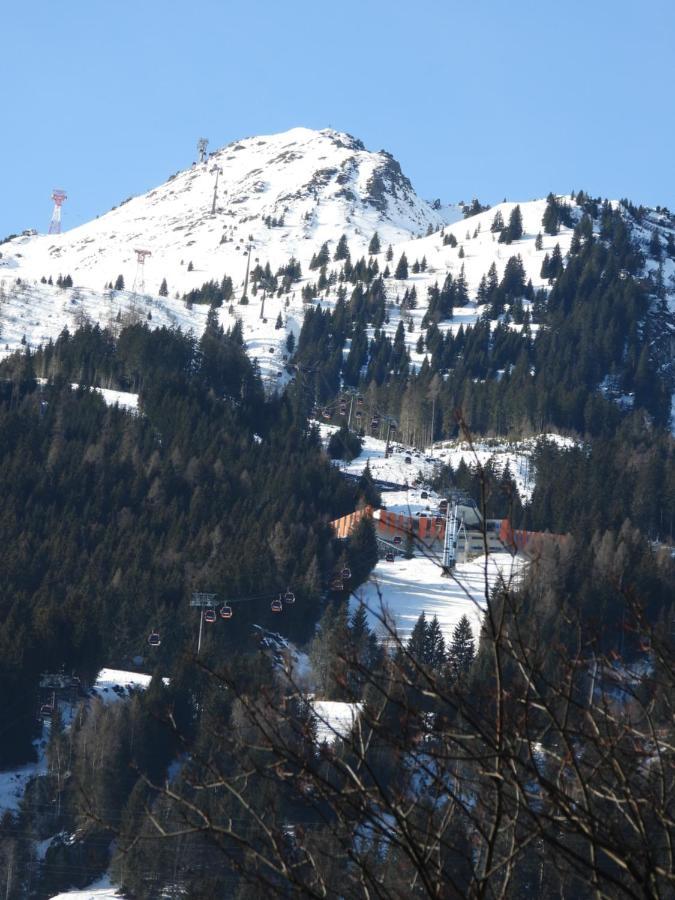 巴特霍夫加施泰因Haus Alpengold公寓 外观 照片